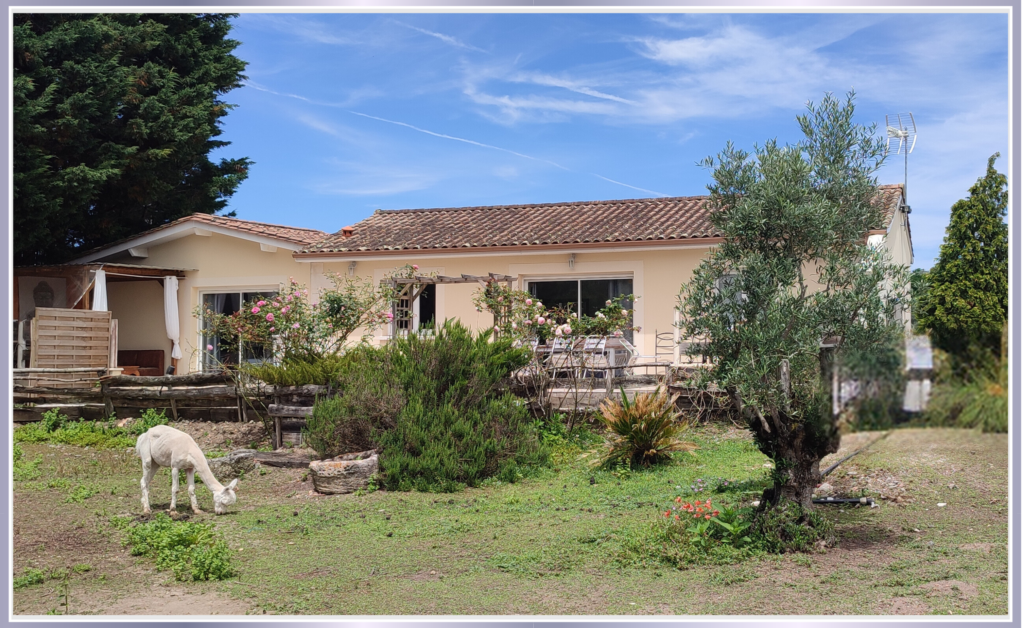 Fonds de couverture (19)
